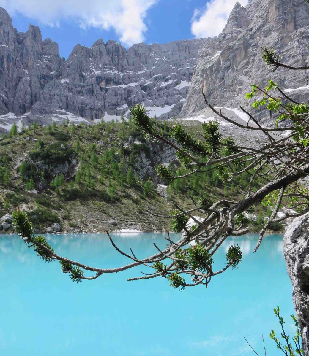 Il lago di Sorapis dalle acque turchesi, una camminata nel verde e nelle rocce delle #Dolomiti. Un luogo prezioso da visitare con rispetto. lucavivan.com/il-lago-di-sor…