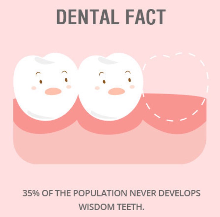 TeethSolutions's tweet image. #funfactfriday