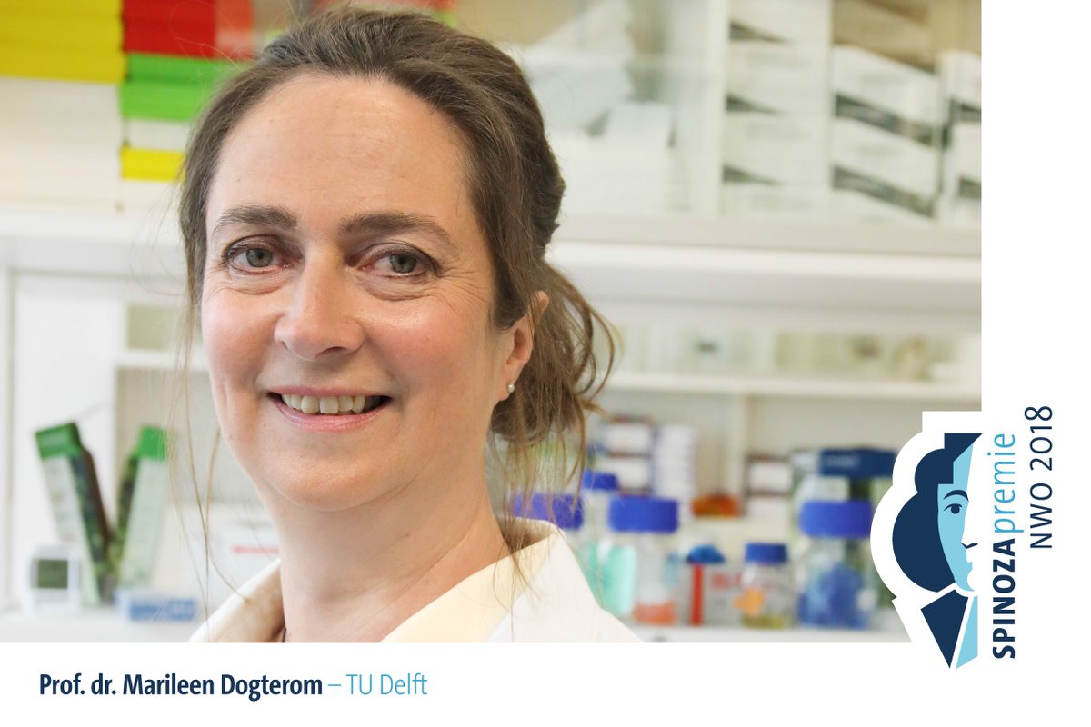Spinoza Laureate 2018: Marileen Dogterom, Professor of Bionanoscience, @tudelft.