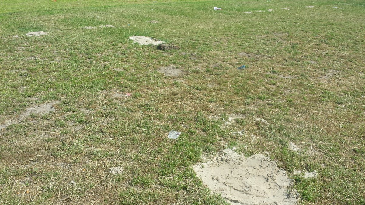 LeistraAlex's tweet photo. even stukje het veld op ,toch wel jammer hoe het er nu bij ligt !! Pas op de diepe gaten #BENEBREKEN #GROENESTER https://t.co/zC1xj6UxiE