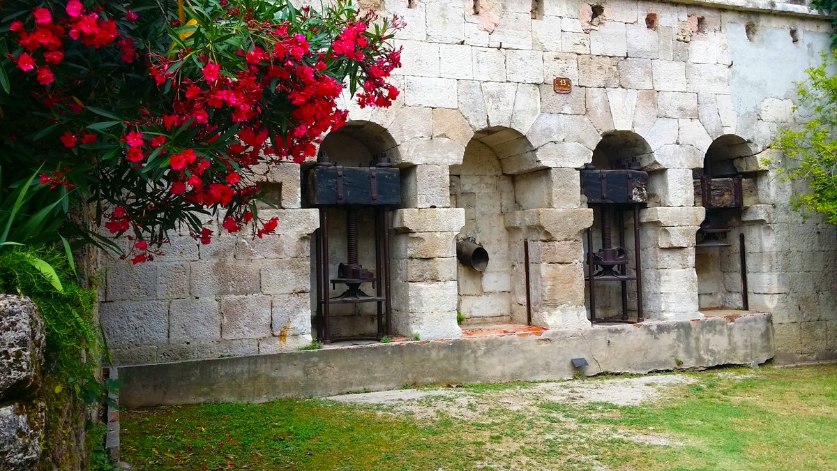 MireilleBoissy's tweet image. #CotedAzurFrance Promenade au village de #Cotignac dans le Var Focus sur l'antique pressoir @VisitCotedazur @_FrenchRiviera @Magnifique_FR @frrivieraguide @LenviedePartage @FranceTresors @raconteunvoyage @Balade_Sympa @EscapadesSudF @Tourisme_PACA @EvasionPaca @provencetourism