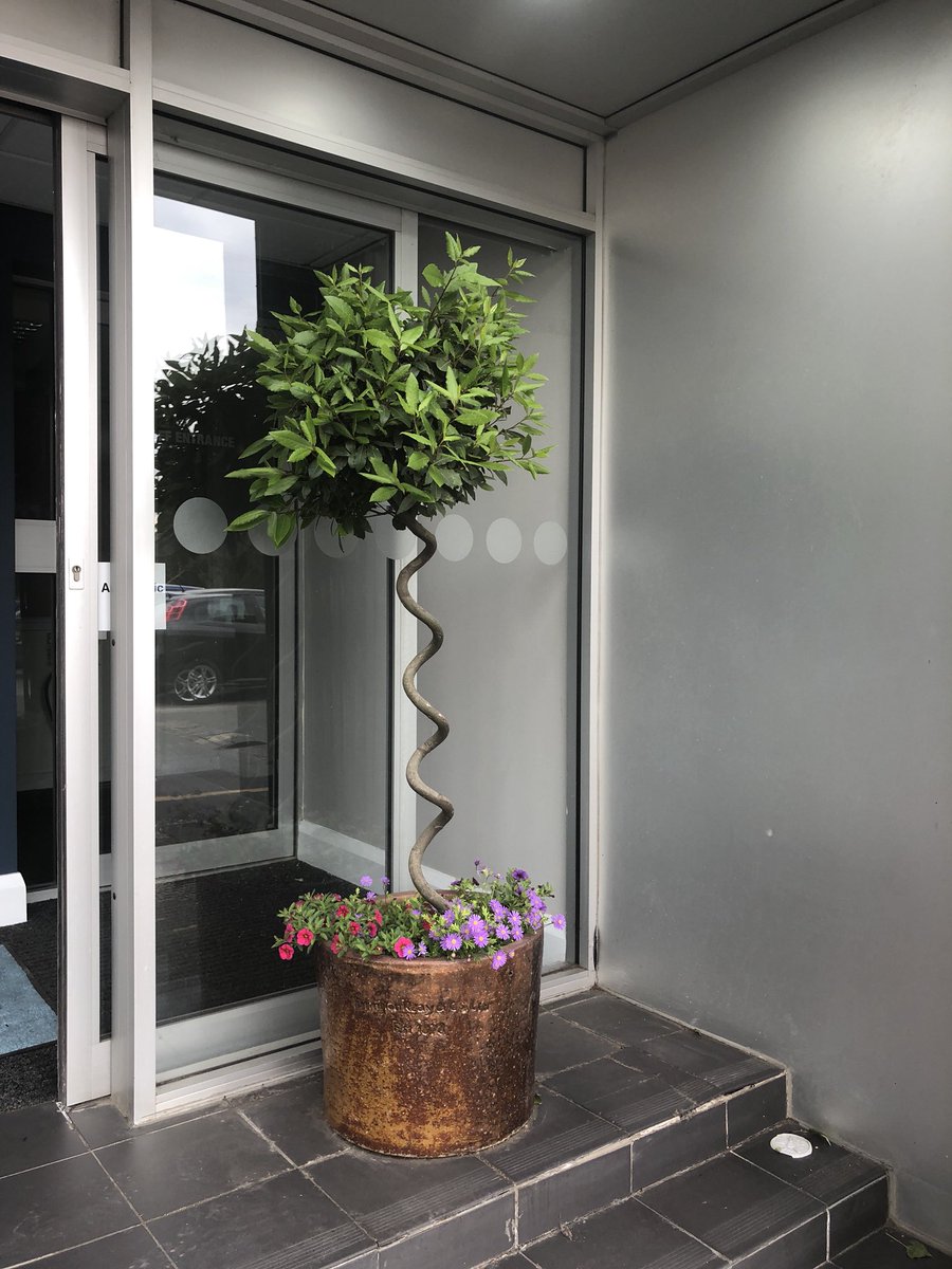 therealhelenmay's tweet photo. @HorburyVillage Our pots at The Junction are out in bloom too! Loving the flowers everywhere! https://t.co/q7LqGJ2TW8