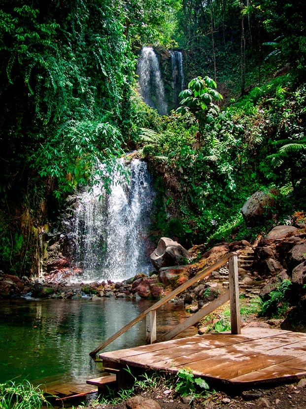 Viajes en hola.com tweet media
