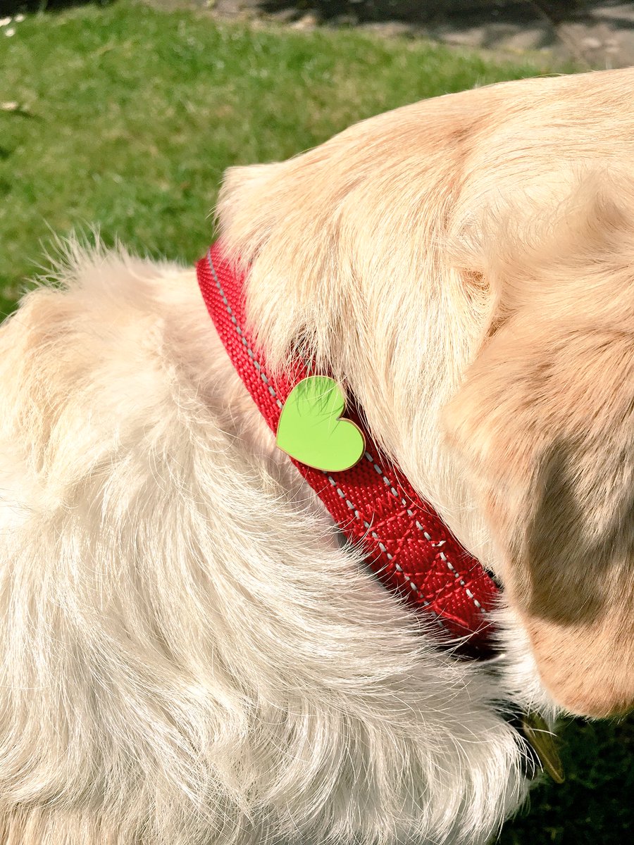 I’ve gone #GreenForGrenfell today to show solidarity with the Grenfell Community & to celebrate the diversity in each of the communities we live and work in. Anyone else taking part in #GreenForGrenfellDay?