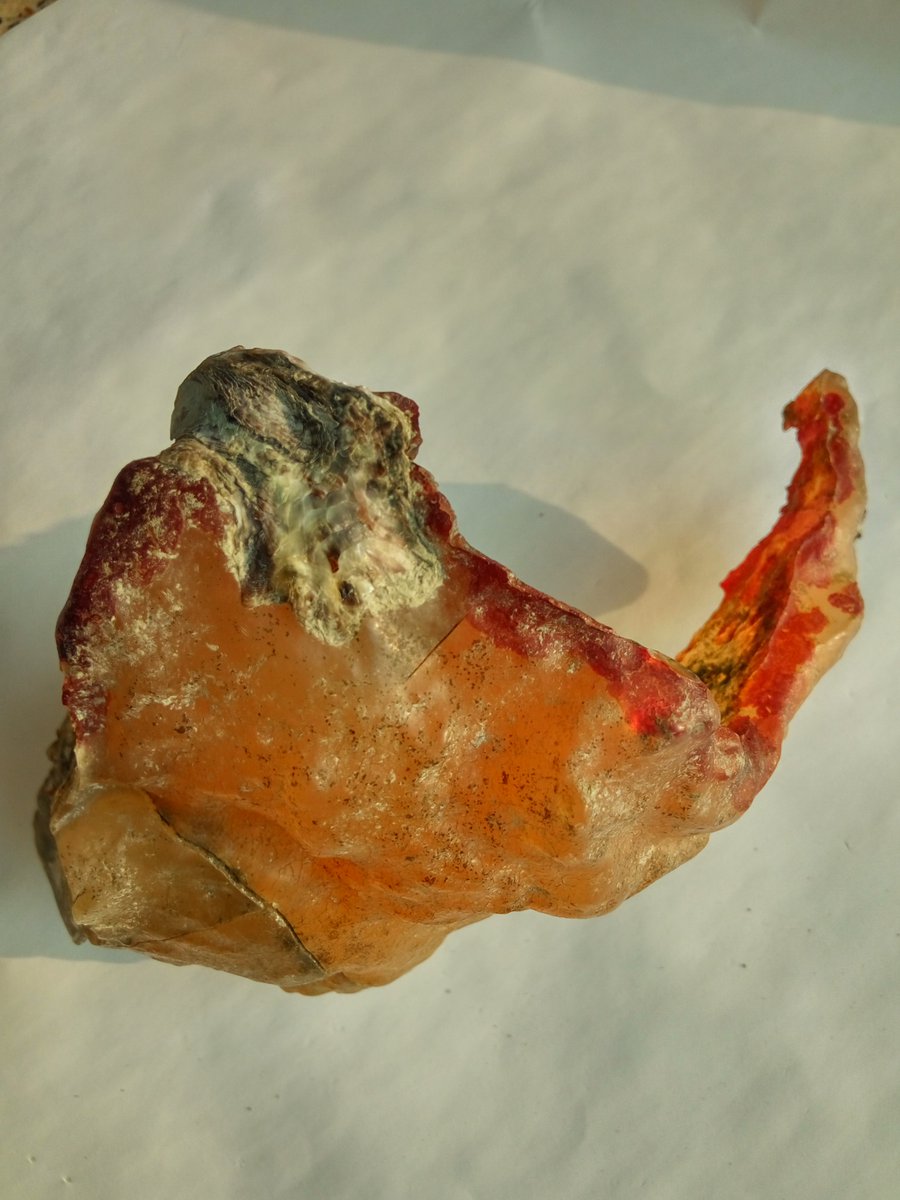YueNikke's tweet photo. @RoddyRutledge Here are the fossil physical data   
  *   no effect on acetone
  *   gas bubbles observed
  *   non-electrostatic
  *   density: 1.22 g/cm3
  *   hardness: <3 (can be scratched by calcite)
  *   fracture: appearance conchoidal
  *   fluorescence reaction under UV https://t.co/cklbwWaYLT