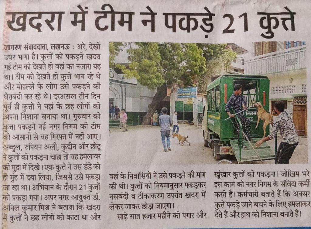 D_Sam86's tweet photo. LOOK CAREFULLY at the dog as he is suspended in air by a lasso around his throat and by the tip of his tail bearing all his weight. 
This is how #LucknowMunicipality catchers handle dogs. LMC #CVOArvindRao chooses 2 keep them untrained, unethical and unaware of AWBI regulations! https://t.co/lMIneb1zN6