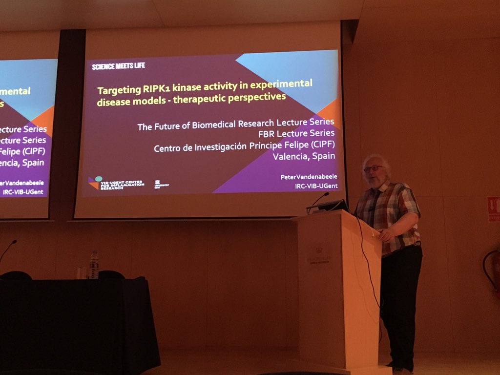 IsmaelMingarro's tweet photo. #ScienceMeetsLife Peter Vandenabeele’s talk about necroptosis and ferroptosis at the @CIPF https://t.co/Qk5iISmzCi