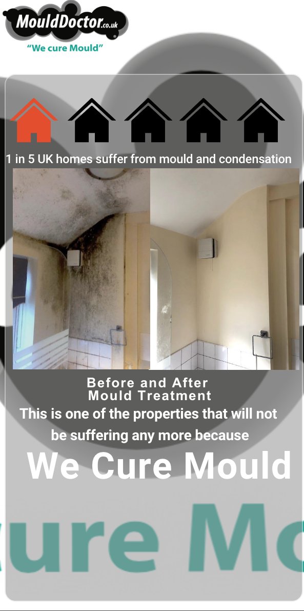 1 IN 5 UK homes suffer with mould problems dlvr.it/QXNDH7