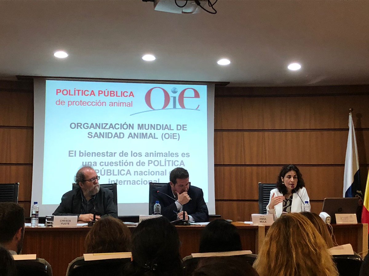 UMEN_SC's tweet image. Todos podemos luchar contra el #Maltrato #Animal. #Ciudadanos #Administraciones #Públicas #Umen_SC #PoliciaLocalSC #GuardiaCivil #PoliciaNacional. #Ordenanzamunicipal #Códigopenal #Ley de #Protecciónanimal