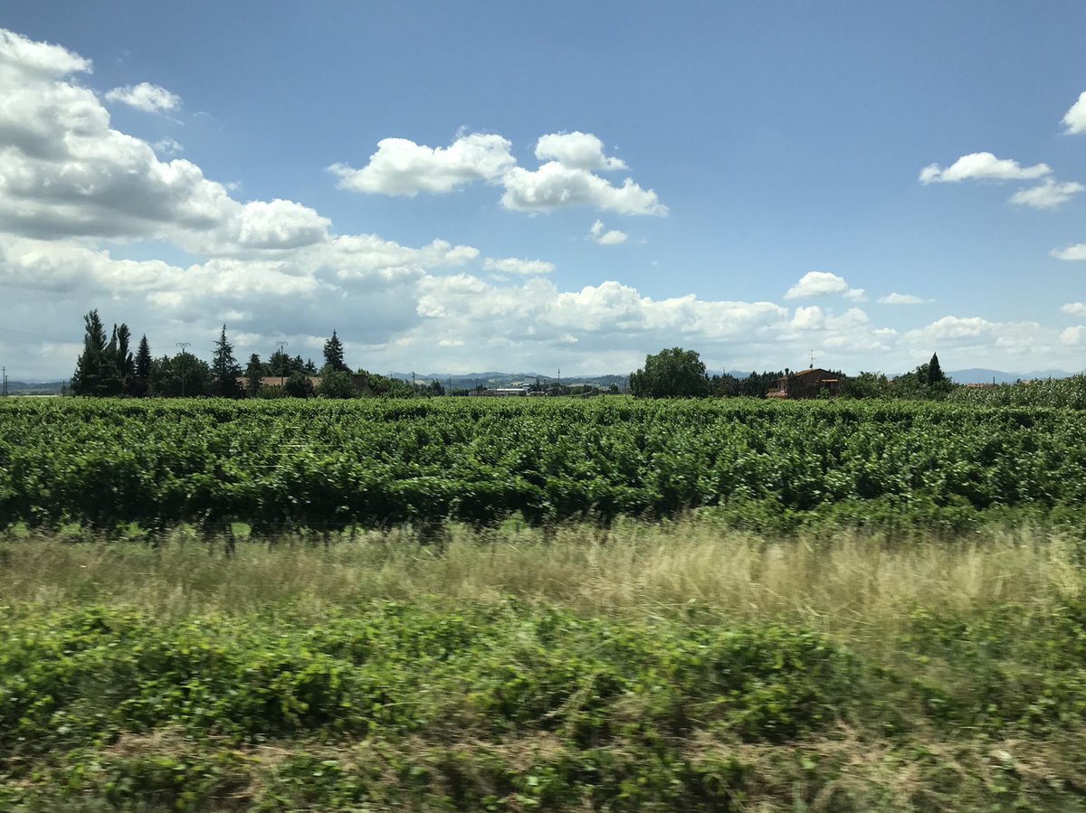giovanni2046's tweet photo. Paesaggio italiano. Da qualche parte tra Bologna e Cesena. Italia paese più bello del mondo nonostante .... lo pensavo oggi guardandolo da due o tre mila metri di attrezza. https://t.co/Wu3ad7DaTK
