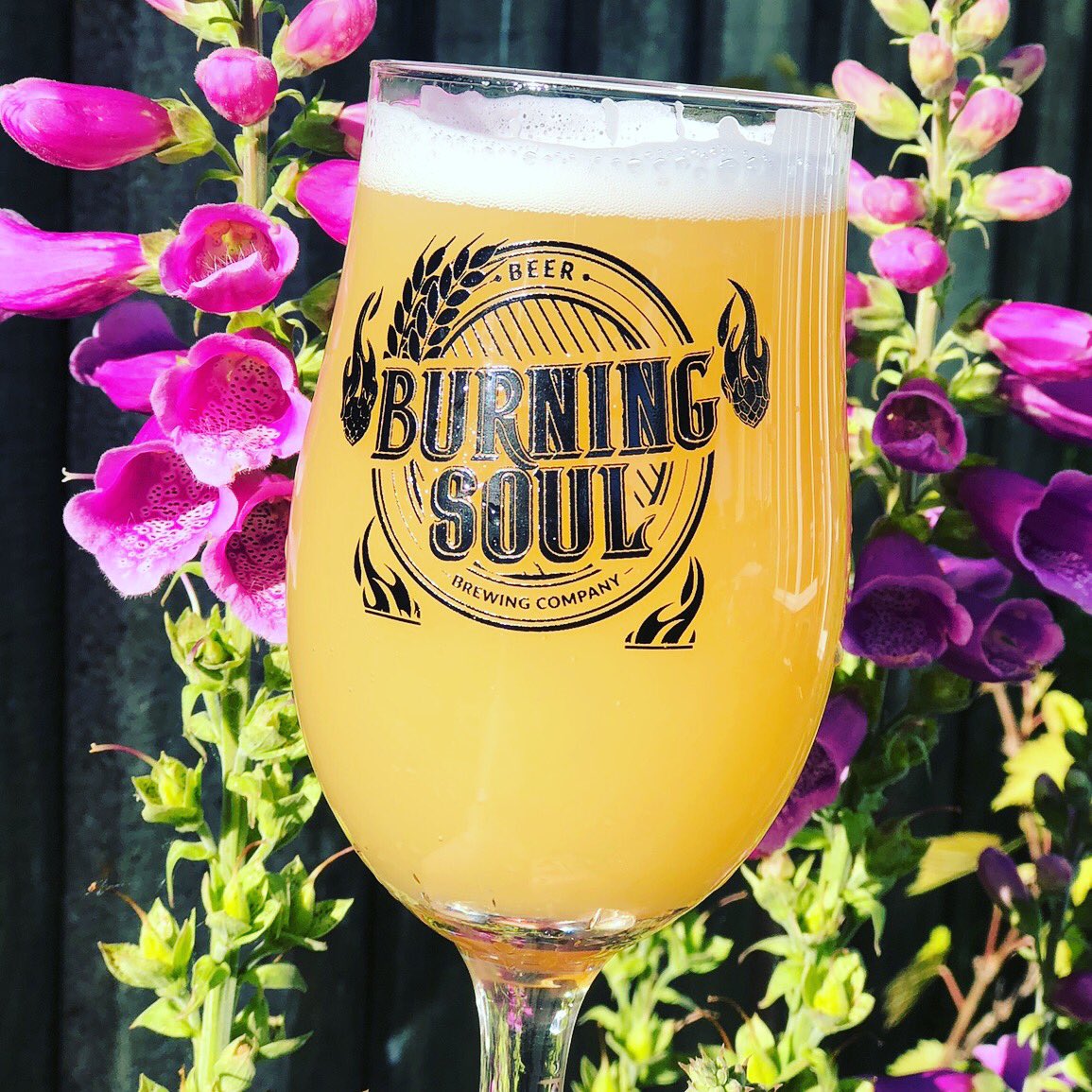 BurningSoulBrew's tweet photo. Fresh batch back on the taps this weekend 
Our super session-able full flavour pale ale 3% and loaded with Citra Amarillo and ekuanot hops https://t.co/b6wMu1z0gg