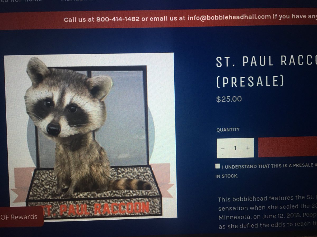 Kate Raddatz (@kateraddatz) on Twitter photo Got an email that the National Bobblehead HOF (who knew?) has a new one for sale. Can’t. Make. It Up. <a href="/WCCO/">WCCO | CBS News Minnesota</a> #mprraccoon Got an email that the National Bobblehead HOF (who knew?) has a new one for sale. Can’t. Make. It Up. <a href="/WCCO/">WCCO | CBS News Minnesota</a> #mprraccoon