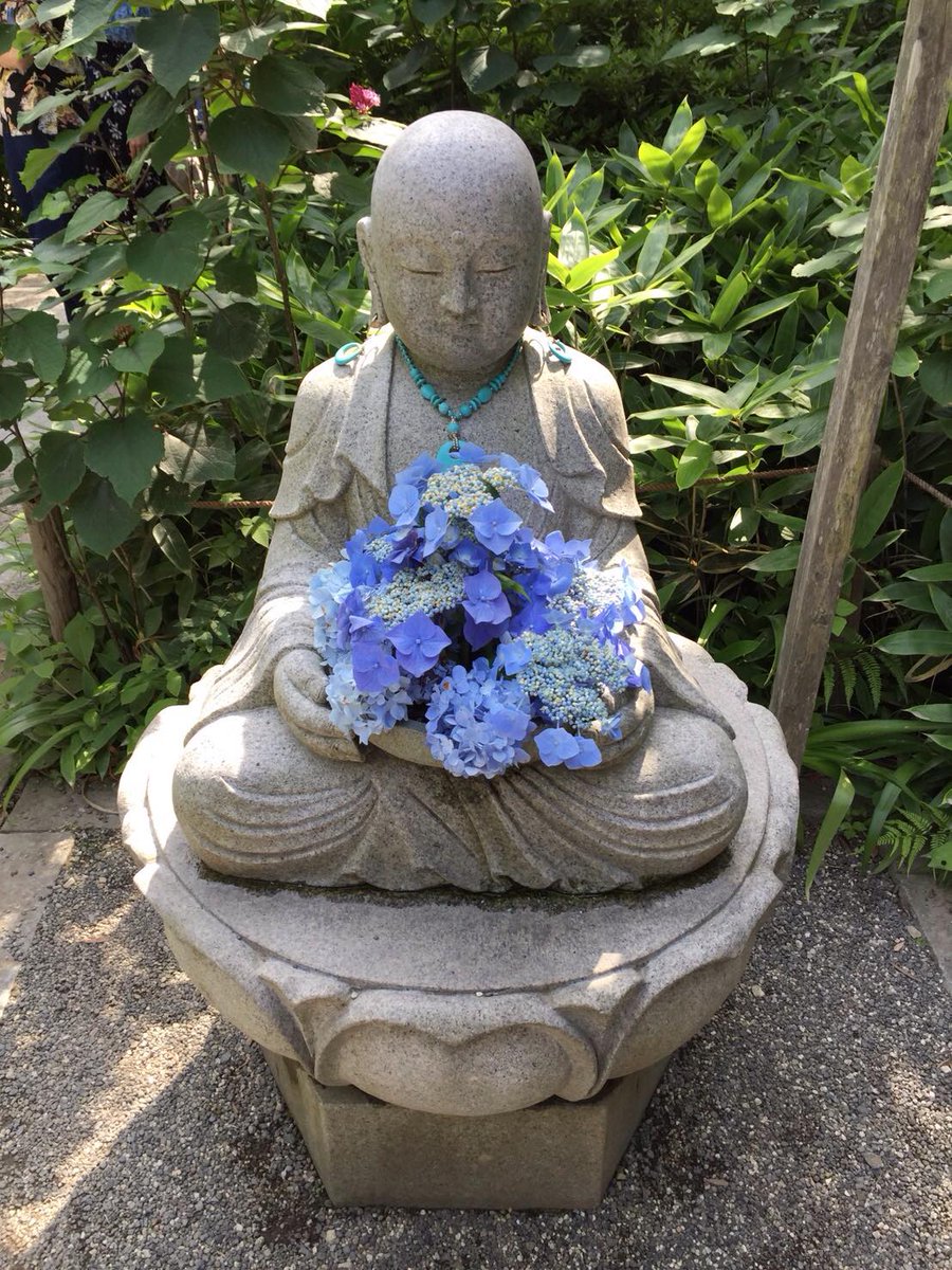 InsideJapan's tweet image. Enjoying Kamakura's stunning hydrangea season: goo.gl/geWhM5

#Kamakura #Hydrangea #JapanInBloom