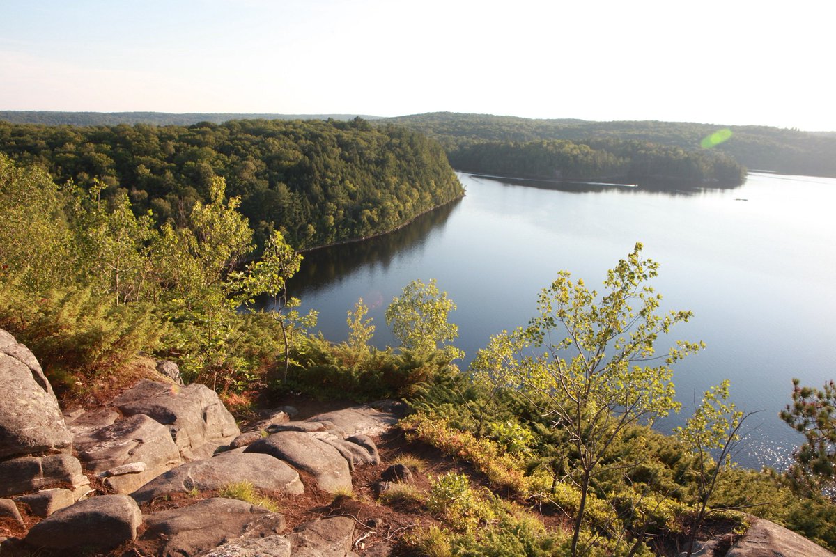OntarioParks's tweet photo. Happy #NaturePhotographyDay!

Show us your favourite @OntarioParks photos! https://t.co/hE9CKT6e0Q