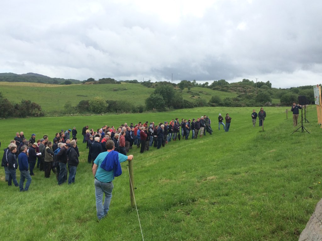 TeagascBeef's tweet photo. Pics from today's @teagasc GRASS10 farm walk on the Winner of the Beef Grassland Farmer of the year farm - Ger Dineen, Macroom, Co Cork #beeftechtransfer https://t.co/rKIKosLMQL