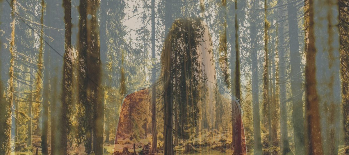 Norwegian Arts in the UK tweet media