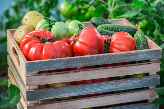 Factbook tweet media