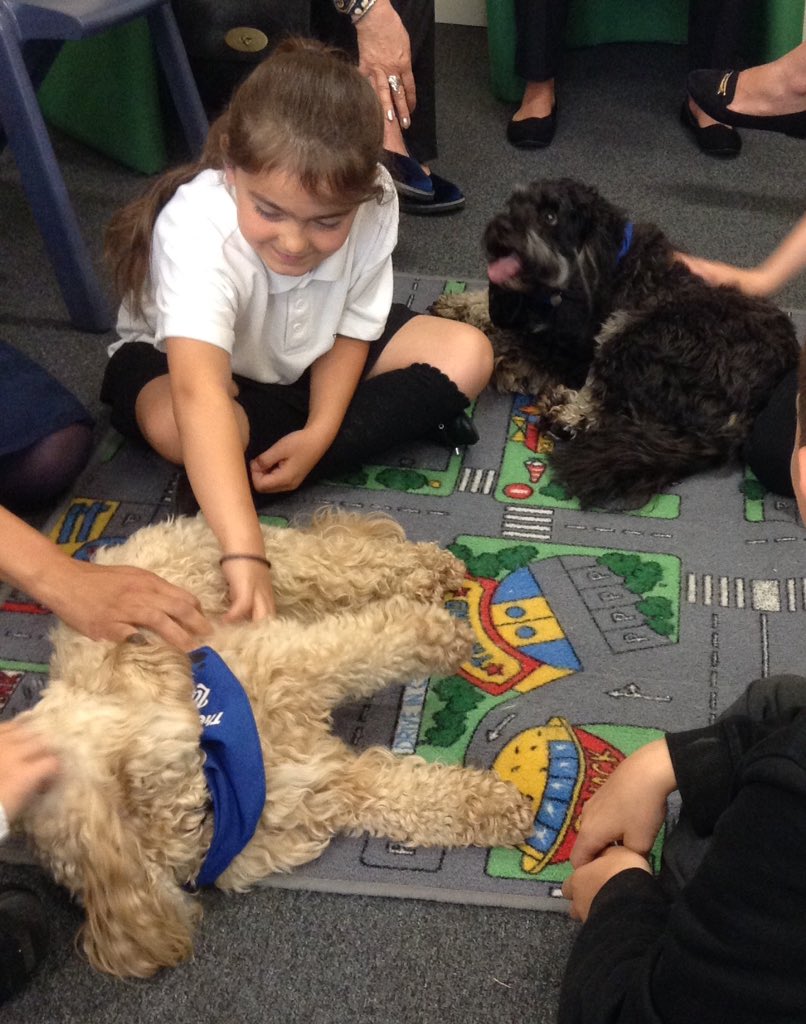 Primary students enjoying seeing Brambles and Laurel Therapy dogs at the Heights Blackburn @Head_TheHeights