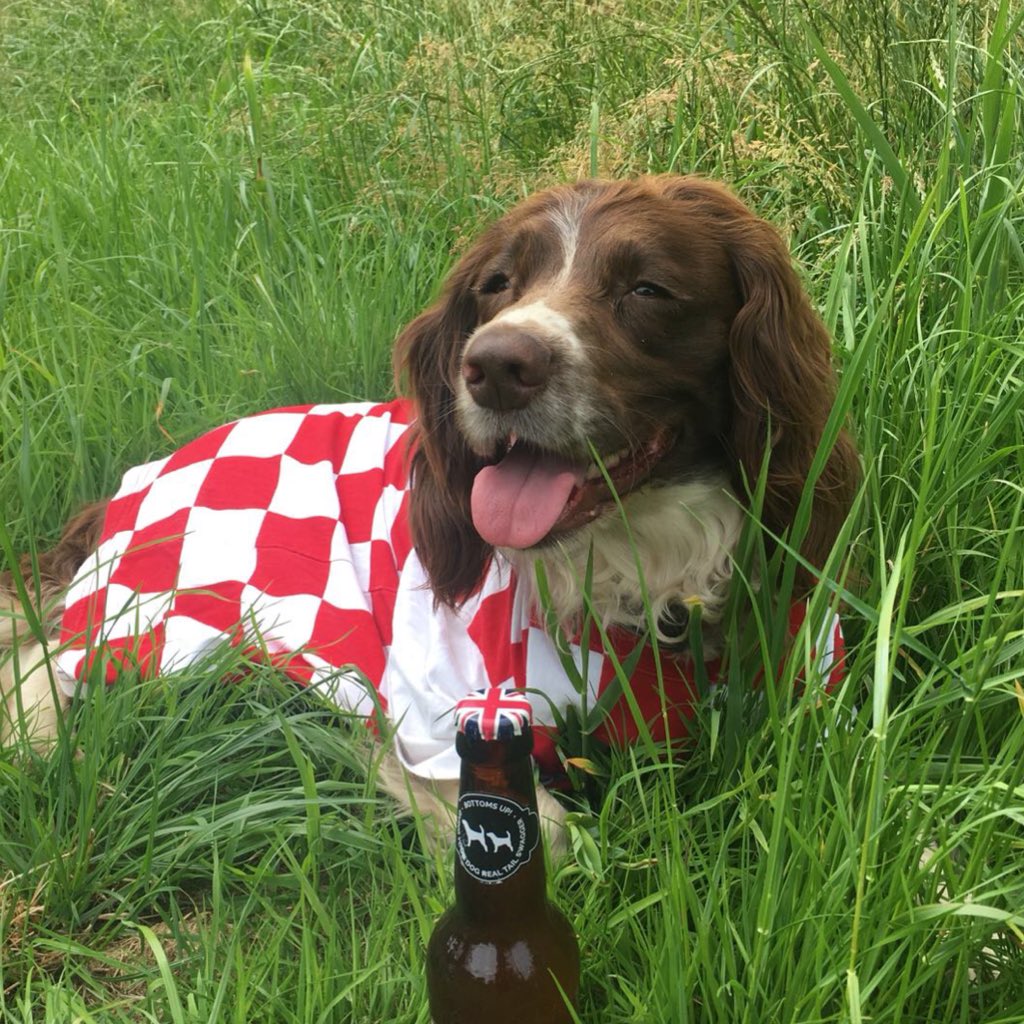 DogtorUk's tweet photo. #HappyNationalBeerDay pups, you don’t have to miss out, as we are proud to stock Bottom Sniffer Beer for dogs. It’s non-alcoholic and safe for woofs. Cheers 🍺 visit our website and get 15% off #WorldCup #dogsoftwitter https://t.co/F9W2ItCNwh