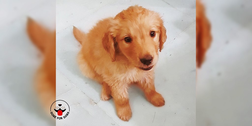 the_jerry's tweet photo. Waiting For A MIRACLE!
#money #today #market #dogefordogs #blockhedge2018bahrain #blockhedge2018bangkok #blockchain #blockhedge #cryptocommunity #bitcoin #blockchainevents #cryptocurrency #cryptoevents #ethereum #BTC #cryptocurrencynews #cryptonews #bitcoinprice #currency https://t.co/lgy177HQ7w