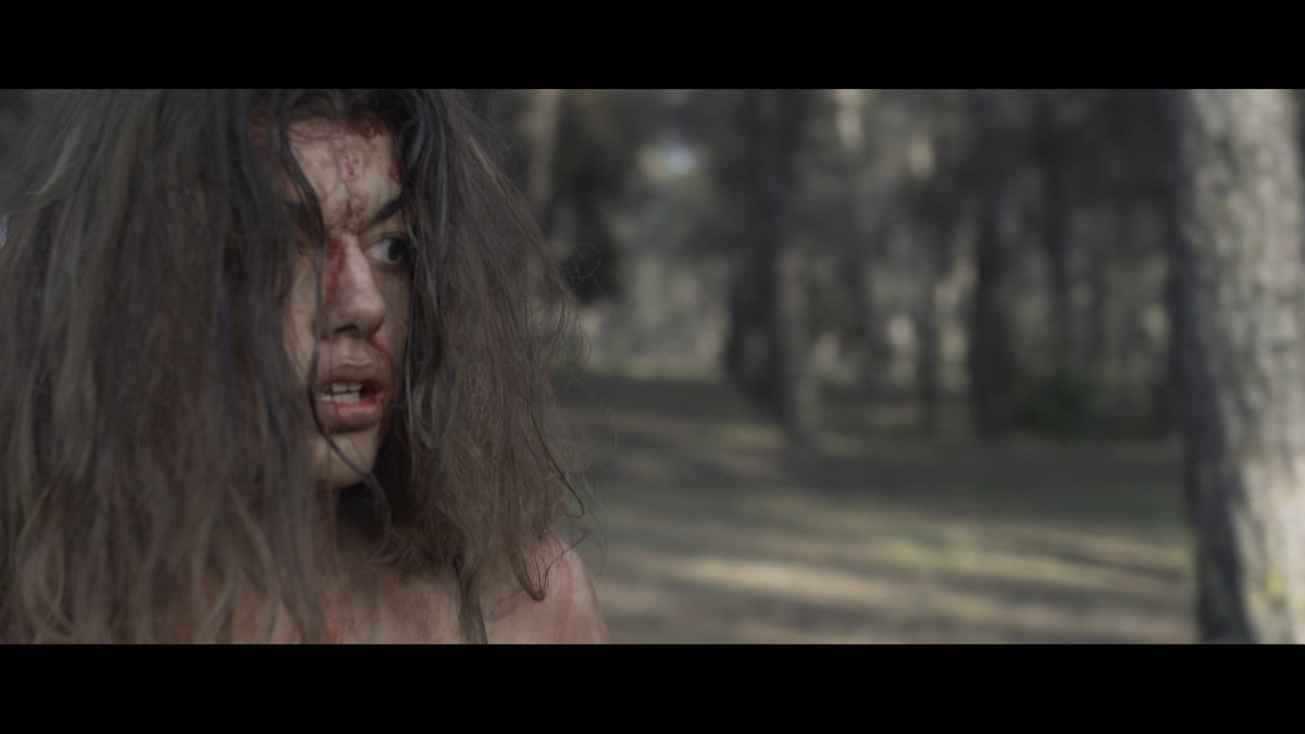 S_Finale's tweet photo. Estamos cocinando #YoTeProtegeré. Survival horror con influencias del terror francés y asiático https://t.co/KF6xItIhWI