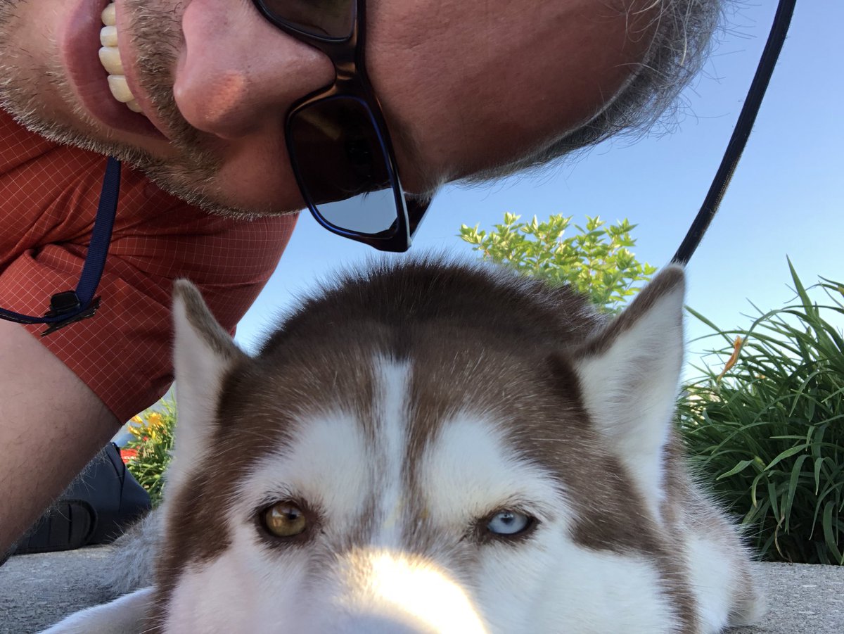 YHMDirOps's tweet photo. FFF: @flyyhm has our very own Keiko, a 3 legged therapy dog!  Buy a flight from @flyyhm, get a free hug...the line forms here.  #HamOnt #SecurityPass #FeelTheLove https://t.co/apTujdA8bT