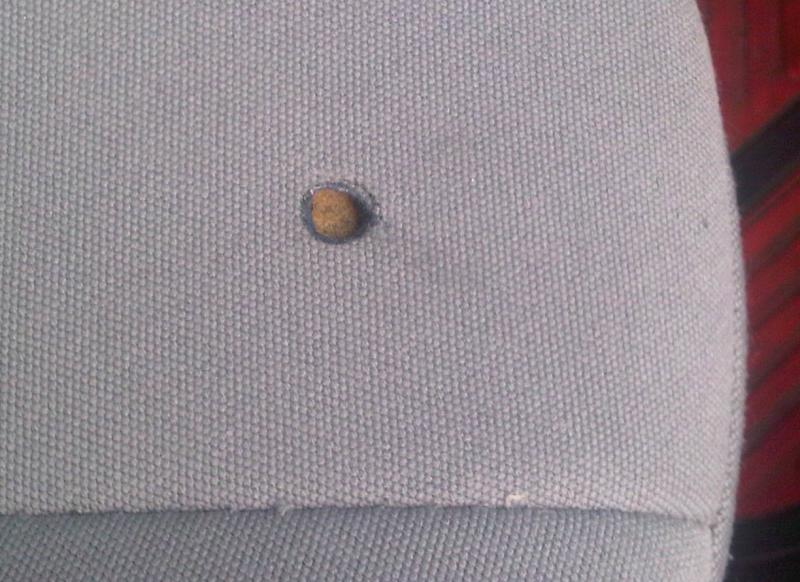 DetailingWiki's tweet photo. ➡ How to remove #Cigarette burns or stains
#APC #Burn #CigaretteBurn #CigaretteSmell #Clean #Cleaning #Cover #Damage #Degreaser #Fabric #Floormats #Interior #Leather #Leathertte #Seat #SeatCover #Sigar #Smell #Stain
https://t.co/fYVPpFXeQJ https://t.co/ZiWkE2r3mv