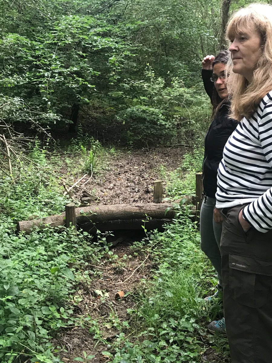 ParttimeGoth's tweet image. Visiting River Pinn NFM project in Ruislip, community learning together anoutcwhat works and what doesn’t! @DefraWater @singinghen @DefraGovUK