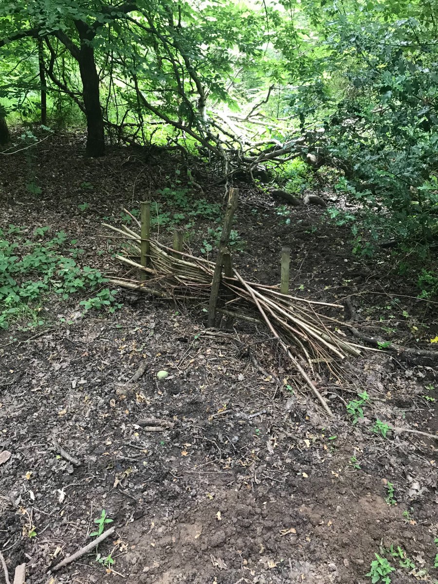 ParttimeGoth's tweet image. Visiting River Pinn NFM project in Ruislip, community learning together anoutcwhat works and what doesn’t! @DefraWater @singinghen @DefraGovUK