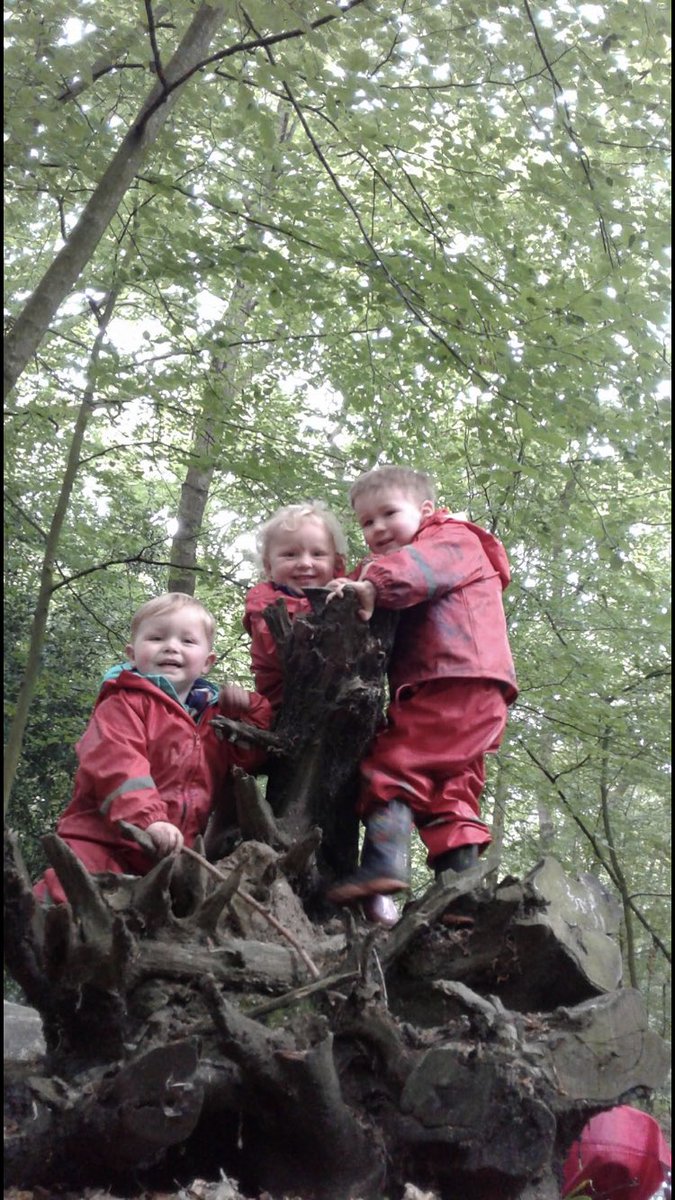 Forest Schools Kindergarten tweet media