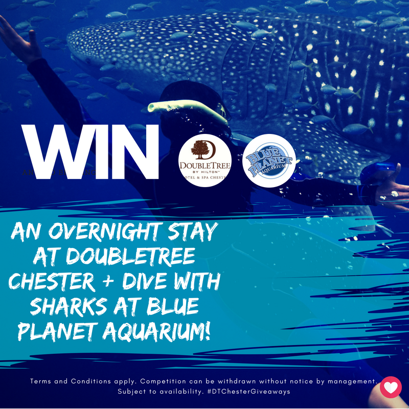 DoubleTreeChest's tweet photo. WIN an Overnight Stay in a King Guest Room at DoubleTree Chester PLUS A Shark Diving Experience @BluePlanetUK at Cheshire Oaks!
To win, RT this post and tell us  your best shark-themed film title (e.g. Santa Jaws: The Movie!) Our Favourite Wins. (1/3)#DTChesterGiveaways https://t.co/wD0AEPFZ6e