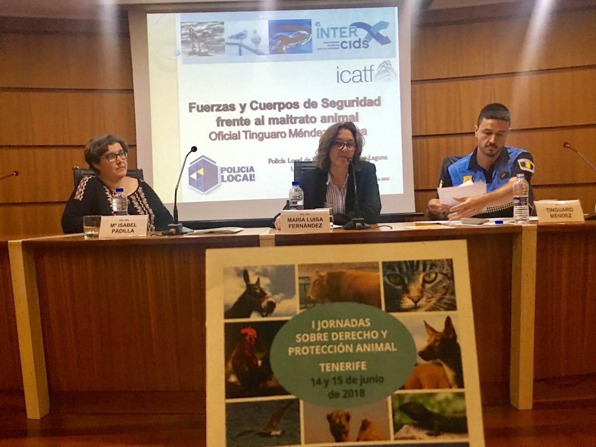 I Jornadas Derecho y Protección Animal con INTERcids en ICAF en mesa coordinada por Mª Luisa Fernández presidenta del ICOV de Tenerife Tinguaro Méndez policía Ayto Laguna e Isabel Padilla veterinaria hablan de maltrato desde la perspectiva de los cuerpos y seguridad y veterinaria