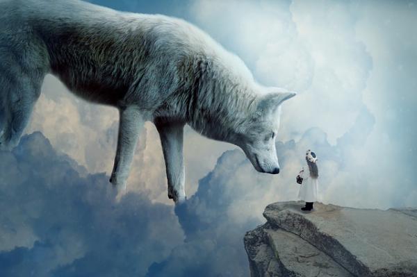 edu_unComo's tweet photo. Cómo invocar a tu animal de poder - aquí las claves https://t.co/gTfJkYFq1K #educacion https://t.co/OA044oKGKL