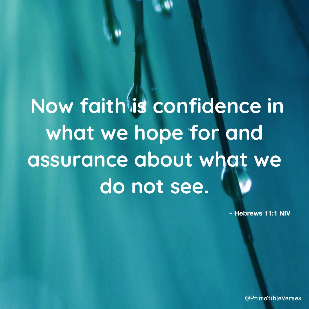 PrimoBibleVerse's tweet photo. Hebrews 11:1 NIV #bible #bibleverses  #Hebrews #RelationshipsVerses  #RepentanceVerses  https://t.co/zRZYiML28I https://t.co/rhUM54YxBC