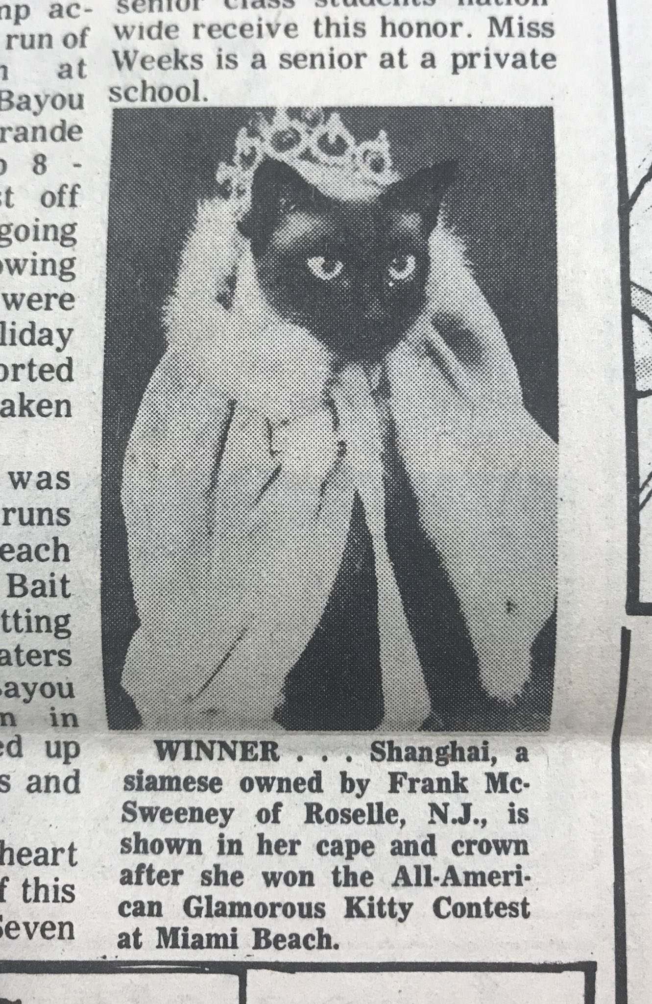 Dfv2yb0UwAApmQ8?format=jpg&name=large