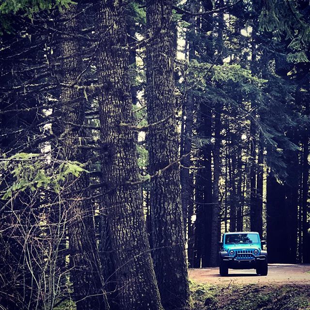 makehermean's tweet photo. Can’t believe my baby girl is turning 1! The Jeep parts are in and the build starts TODAY. Happy birthday Bella. Can’t wait to show you all the reveal 😬🤪🚙💙
•
•
•
#itsajeepthing #jeepmods #jeepwrangler #spoiled #jeepher #hardworkpaysoff #builtnotb… https://t.co/vREjTAQpng https://t.co/JNDZhsx6S4