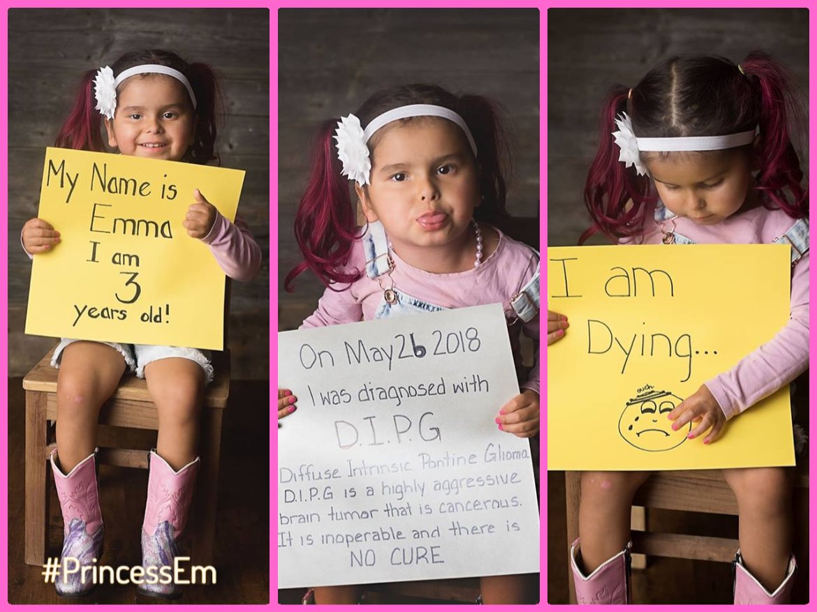 AbbiesArmy's tweet photo. RT Can there be anything more unfair than the certainty of that last board? This MUST change #DIPG #ResearchMatters #PrincessEm https://t.co/G0459jRwtF