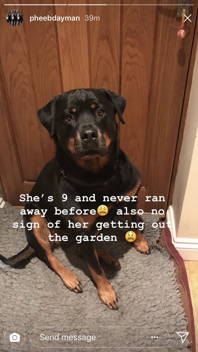 WiltshireLacey's tweet photo. PLEASE PLEASE PLEASE RETWEET!!! @pheebdayman_ anyone in the hanham area!!!! https://t.co/B1yVmaah2S
