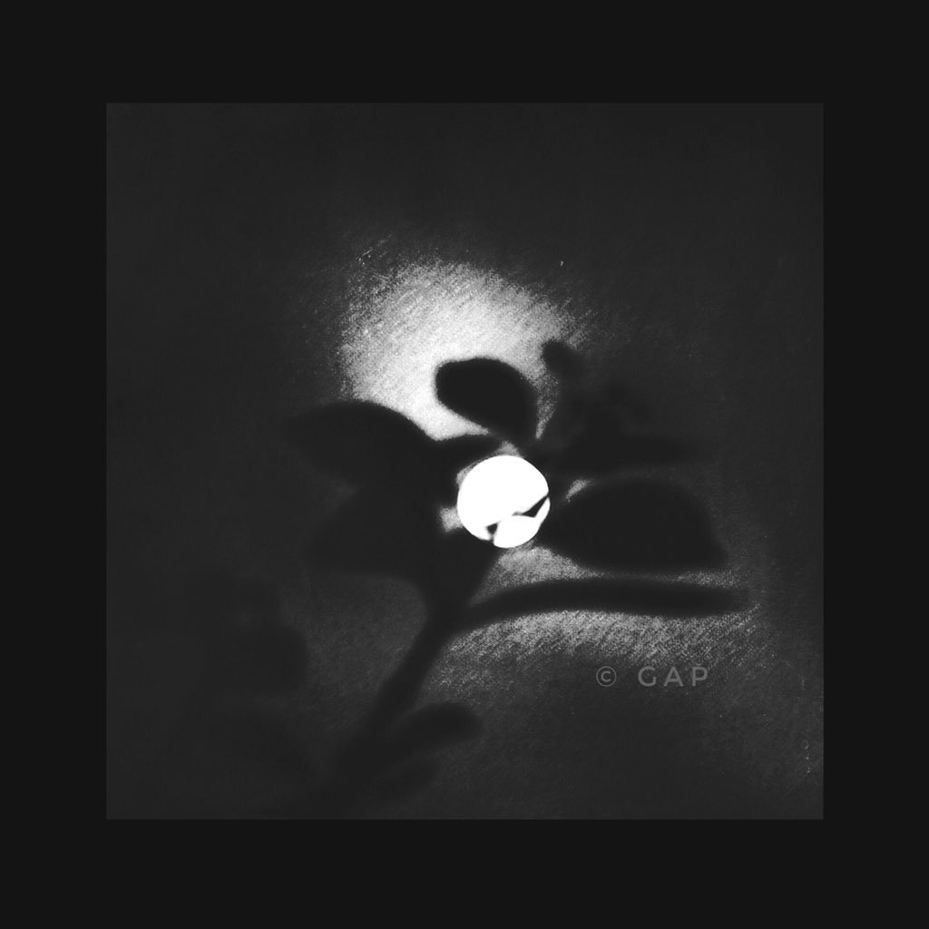 georgeallanpaul's tweet photo. here | she comes © 2018 gAp #artist #art #atmosphere #artphotography #universespeaks #raiseyourvibrations #dontdestroyyourreality #bnw #bw #eternal_noir #respectcreation #fineart #gap #georgeallanpaul #bnwphotography #moodmagic #soulful_moments #monoart #fineartprintsforsale https://t.co/4SWJhQbiRr