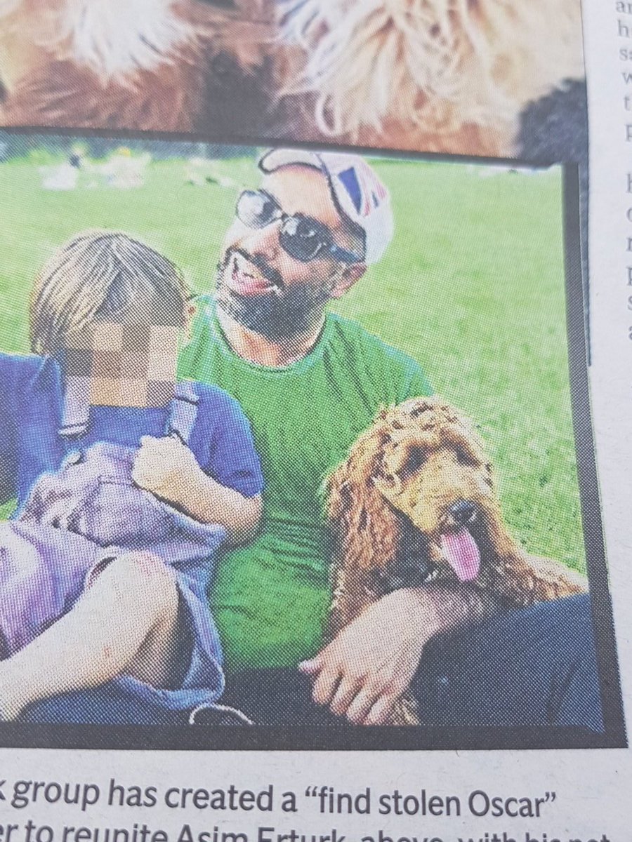 rodwellian's tweet photo. Help find Oscar - stolen from East end pub. He is a cockapoo and  his people miss him terribly #findstolenoscar https://t.co/ZMfYzKjBIm