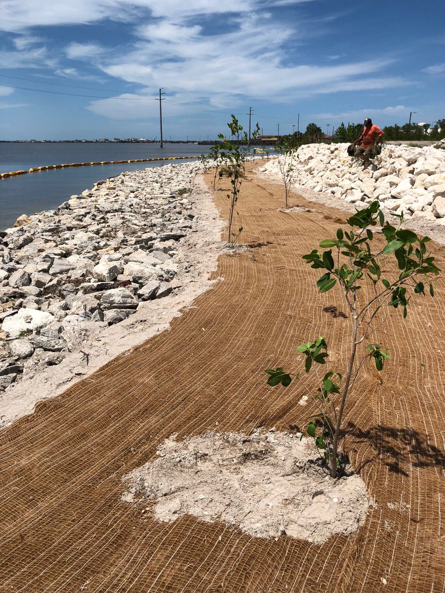 EarthBalanceEco's tweet photo. Our crew is working to restore shorelines at Patrick Air Force Base this week. Check out their progress so far! #florida #erosioncontrol #patrickairforcebase https://t.co/GlsUQ6CBma