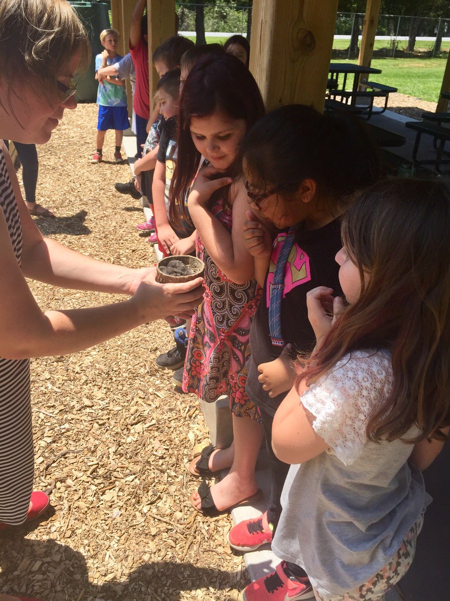 PFE_Rangers's tweet photo. Weβve got baby birds at our outdoor classroom! Thanks to the #UTOTES program at @naturalsciences for the birdhouse!! https://t.co/XX5UKGMQVX