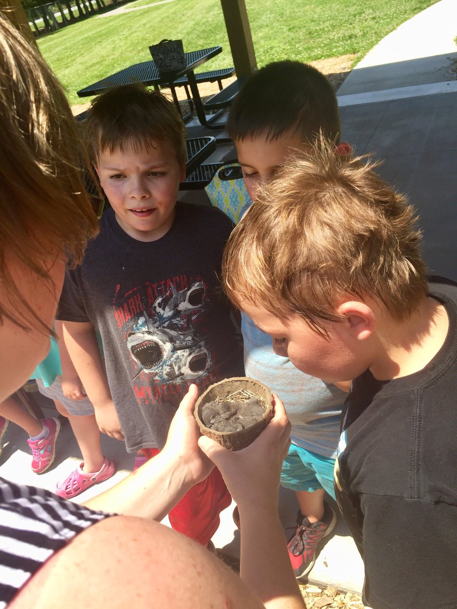 PFE_Rangers's tweet photo. Weβve got baby birds at our outdoor classroom! Thanks to the #UTOTES program at @naturalsciences for the birdhouse!! https://t.co/XX5UKGMQVX