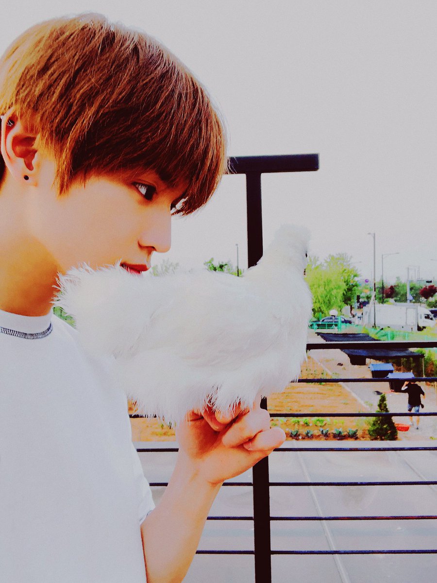 nctarchives_'s tweet photo. 🐣🐣🌱 @NCTsmtown #NCT #taeyong https://t.co/IOsEPafaPU
