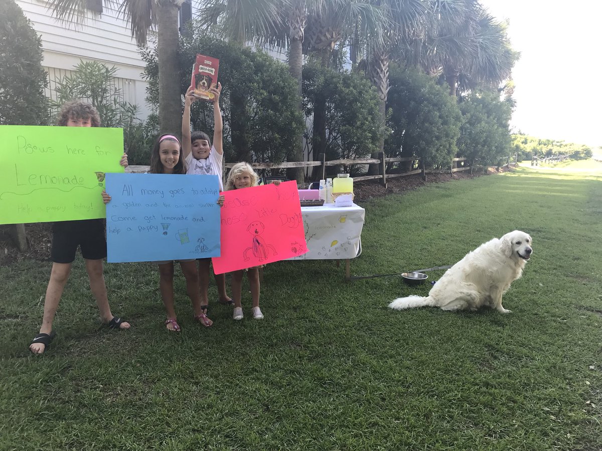 AlishaSlye's tweet photo. Pregaming for @LemonadeDay on Sullivan’s Island SC - all proceeds go @PetHelpers https://t.co/dJp0o3wghU