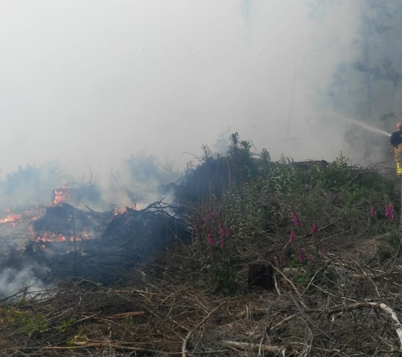 DubFireBrigade's tweet photo. Units have been at the Puck's Castle gorse fire again this morning extinguishing pockets of fire which have re-kindled due to the wind. This isn't uncommon due to the nature of this type of fire. #Rathmichael. They were on scene for 4 hours. https://t.co/zsbhLyDMPn