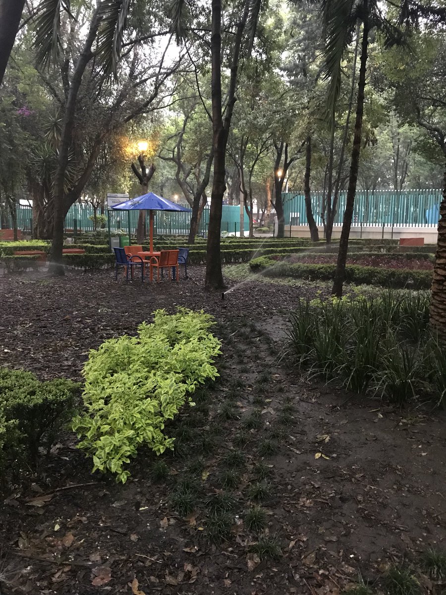 Changuirulo's tweet photo. @DelegacionBJ increíble con la falta de agua en Tlacoquemecatl Del Valle y después de 3 días de lluvia sin cesar prendidos los riegos automáticos del parque de San Lorenzo https://t.co/LaLtFrSFL7