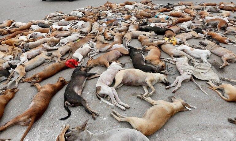 2018 FIFA World Cup in Russia💔a disgrace to the world💔💔😭💔💔