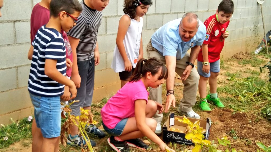 EscolaMadorell's tweet photo. Avui el Mateo, avi de l'escola ha collit les patates amb els alumnes de 4t #hort #intergeneracions #somMadorell https://t.co/2H3WrinLG8
