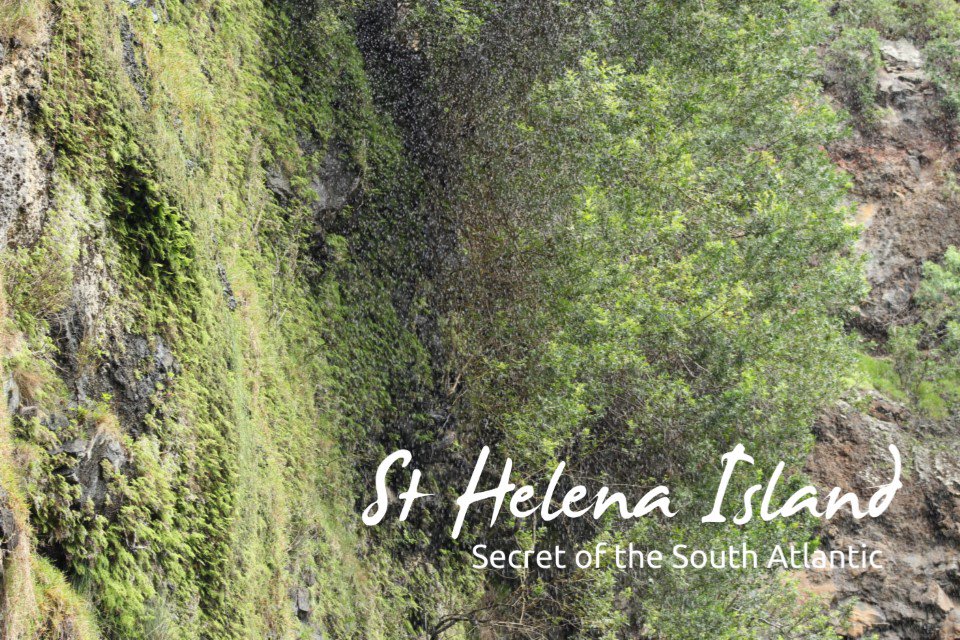 sthelenatourism's tweet photo. #NaturePhotographyDay #StHelena #Waterfall #WalkStHelena #PhotographySecrets #VisitStHelena #7Wonders #ExploreStHelena #IslandParadise https://t.co/lCe7fH4mIj